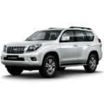 نياكل كروم متكامل برادو FL150 2010-2015