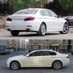 اريال زعانف قرش صغير