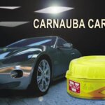 باسطة تلميع خشن كارنوبا فيزلي